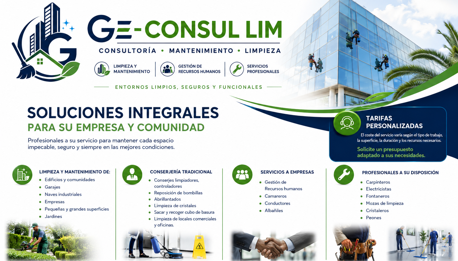 GE-CONSUL LIM